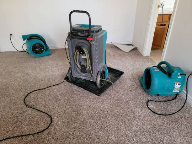 Best Basement water damage restoration  in Southport, NC