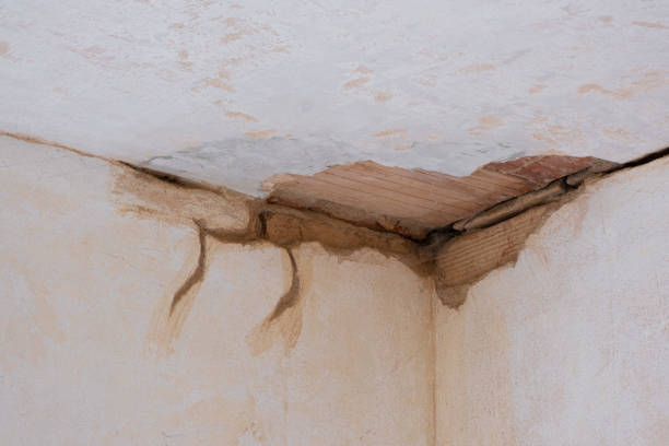 Best Water damage contractors near me  in Southport, NC