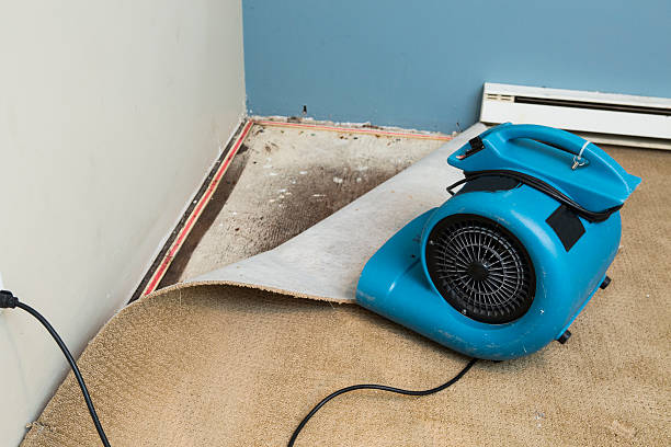 Best Local water damage restoration  in Southport, NC